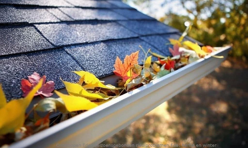 Seizoensgebonden rioolproblemen Ede: herfst en winter